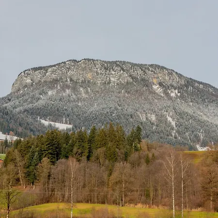 Haus Am Lift Xl Holiday home *