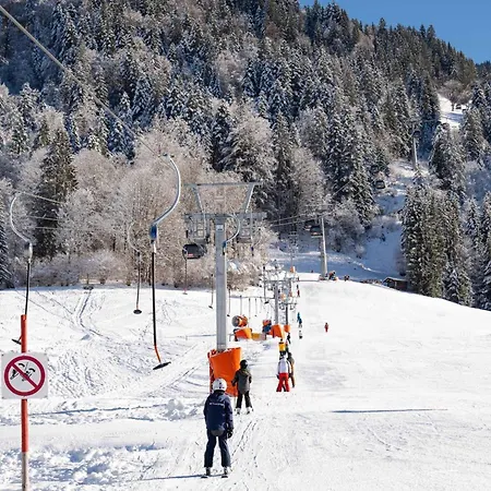 Hébergement de vacances Haus Am Lift Xl *